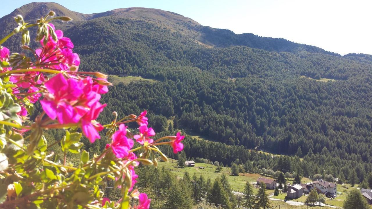 Belvedere Mountain Experience Hotell Monno Eksteriør bilde
