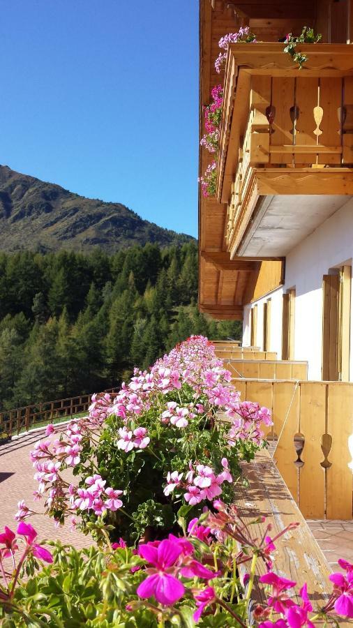 Belvedere Mountain Experience Hotell Monno Eksteriør bilde